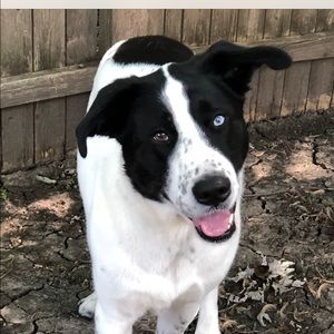 Meet your Posher, Crissi